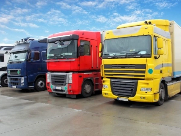 Bursa Bozkurt Nakliye